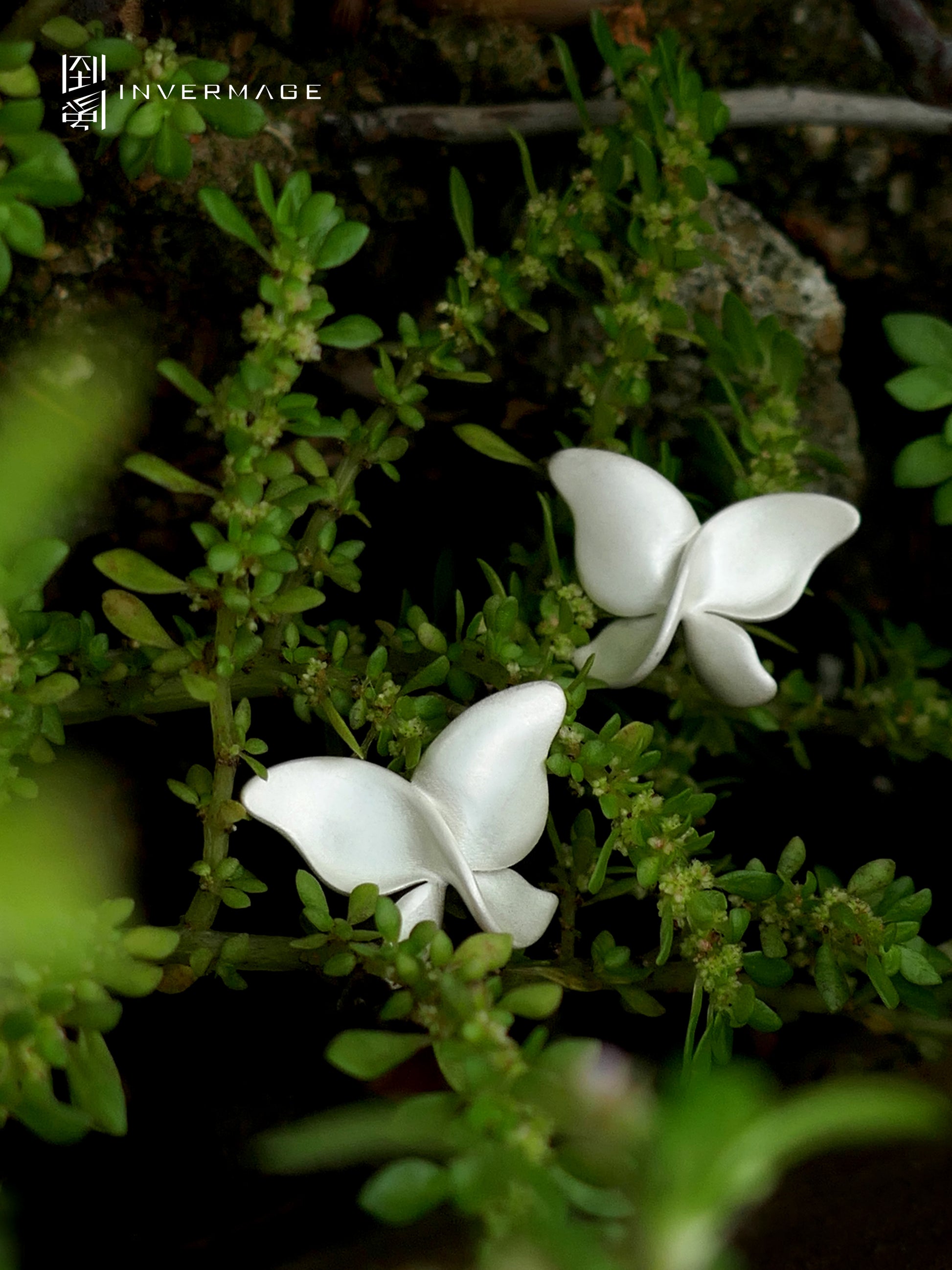 Butterfly Viburnum Studs & Ear Cuff by INVERMAGE, product view 4