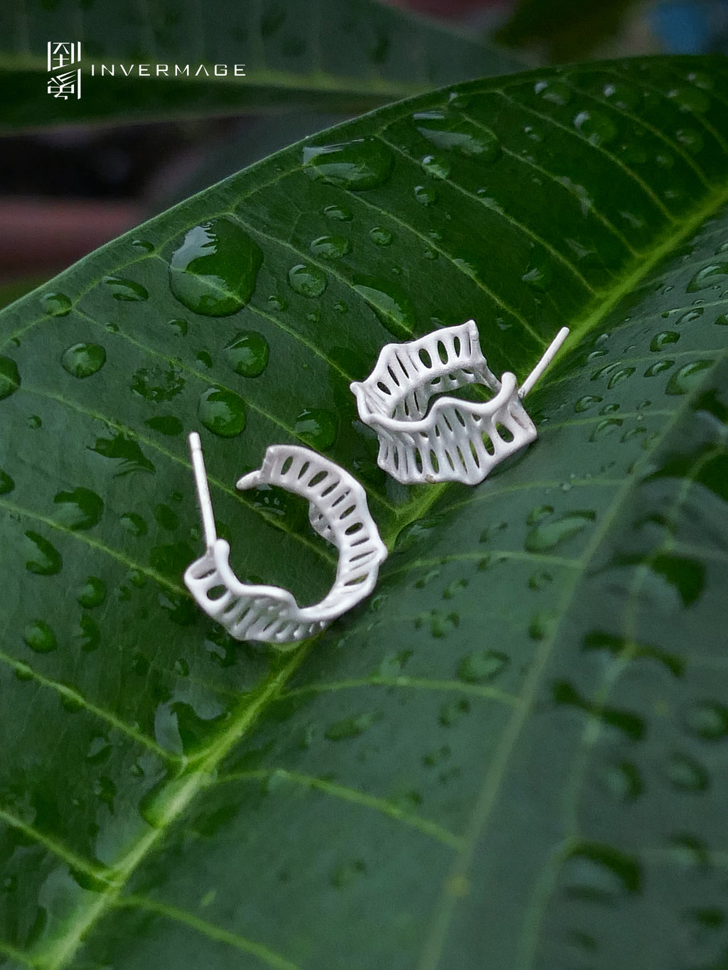 Leaf Vein Stud Earrings by INVERMAGE, product view 3