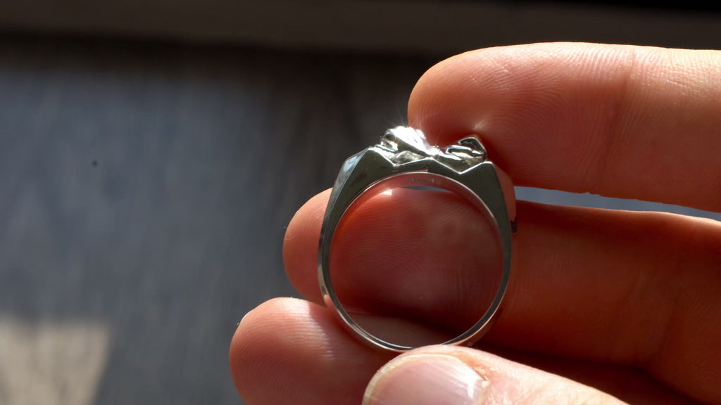 Brazilian Jiu-Jitsu Butterfly Grip Ring